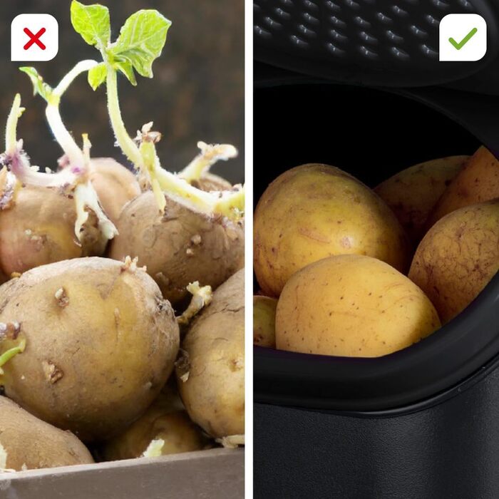 Набір контейнерів Tupperware для картоплі, цибулі та часнику PotatoSmart 8,3 л, OnionSmart 5,5 л, GarlicSmart 2,3 л — інноваційні контейнери для зберігання овочів з оптимальною вентиляцією, штабельовані, для посудомийної машини