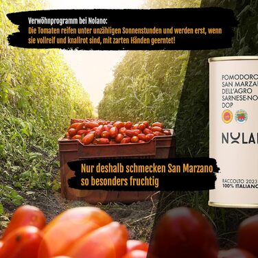 DELICRET – Преміум набір для приготування піци, високоякісні інгредієнти для смачної домашньої піци, бокс для піци