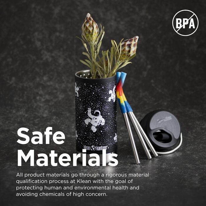 Термос Klean Kanteen TKWide 340 мл з кришкою, сірий