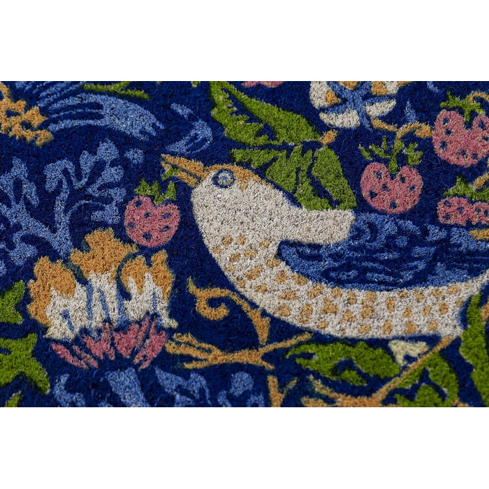 Килимок для входу з кокосового волокна Entryways Victoria and Albert Museum Erdbeer-Dieb, багатобарвний, 45x75 см