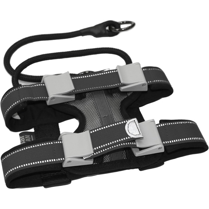 Нашийник для дресирування собак Pack Leader Collar™ від Сезара Міллана, середній, сірий