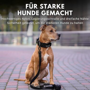 Тактильний нашийник для собак Spark Paws, преміум-якість, міцний, товстий, для великих і середніх порід, розмір M, 5 см, чорний