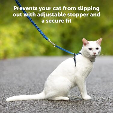 Шлея для кішок PetSafe Come with Me Kitty з еластичним повідцем, розмір M, червоний/клюква