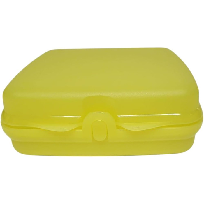 Коробка для сендвічів Tupperware бірюза/гроші на школу