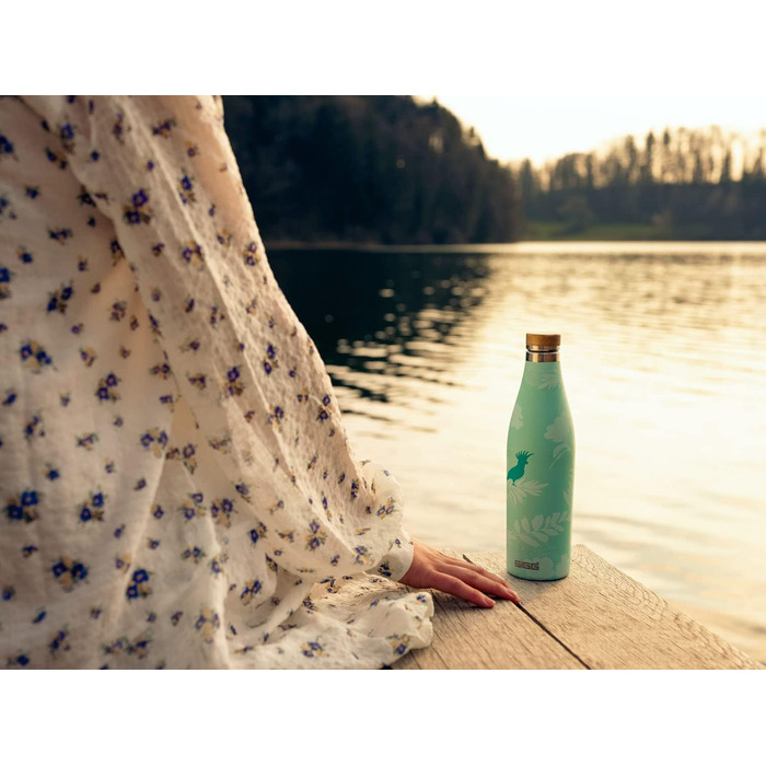 Термос-пляшка SIGG Meridian 0,5 л, нержавіюча сталь, герметична, подвійні стінки, бамбукова кришка, без BPA, для води, Sumatra Birds