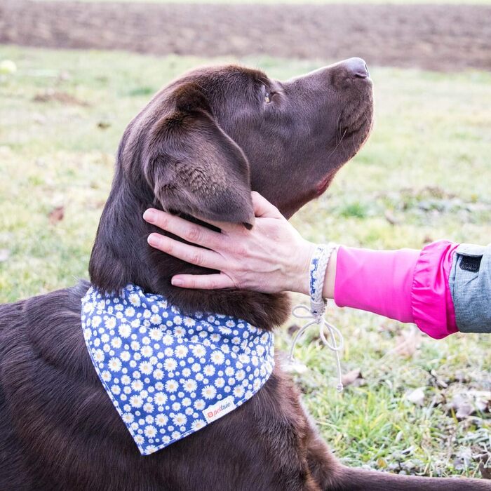 Pettsie нашийник для собак з банданою та браслетом дружби, регульований, міцний, розмір L (45,7-66 см), темно-синій, стильний подарунок для власників собак