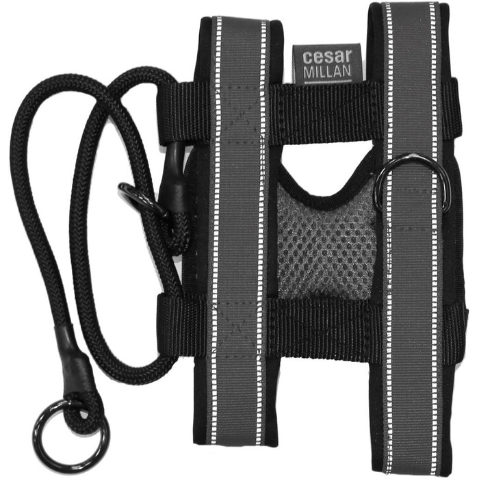 Нашийник для дресирування собак Pack Leader Collar™ від Сезара Міллана, сірий, розмір L, середній